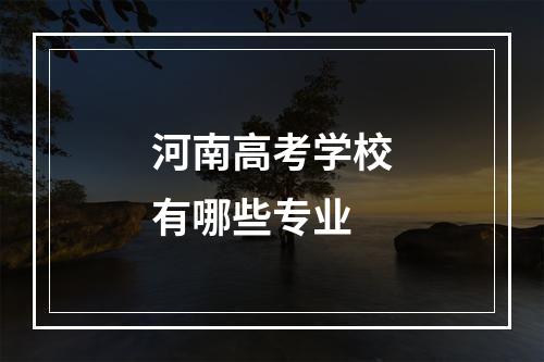 河南高考学校有哪些专业