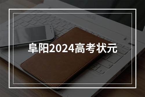 阜阳2024高考状元