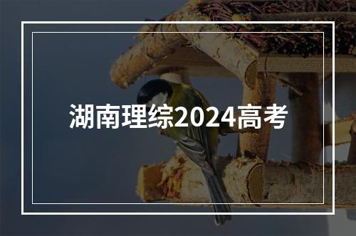 湖南理综2024高考