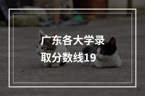 广东各大学录取分数线19