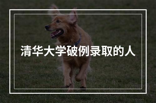 清华大学破例录取的人