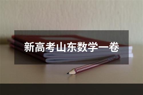 新高考山东数学一卷