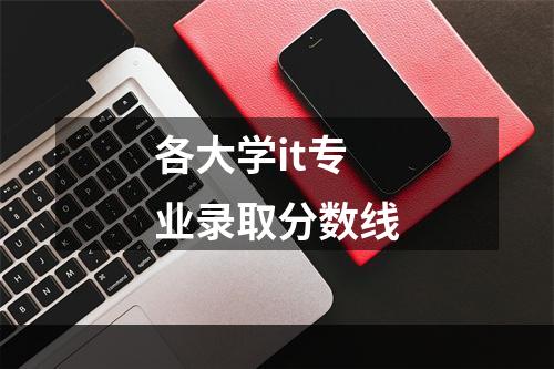 各大学it专业录取分数线