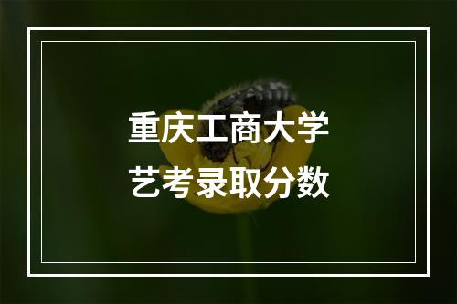 重庆工商大学艺考录取分数