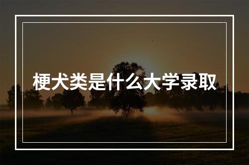 梗犬类是什么大学录取