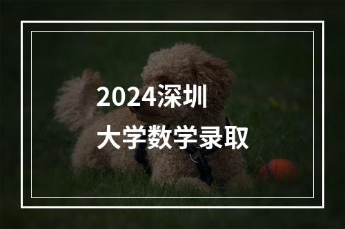 2024深圳大学数学录取