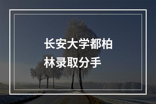 长安大学都柏林录取分手