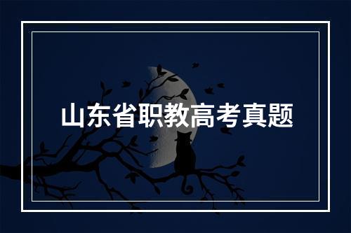 山东省职教高考真题