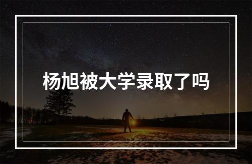 杨旭被大学录取了吗