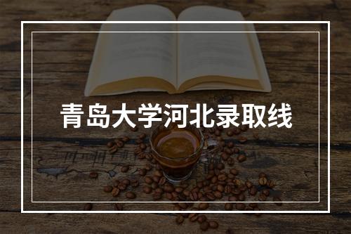 青岛大学河北录取线