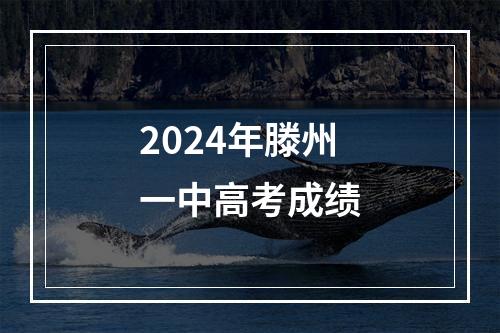 2024年滕州一中高考成绩