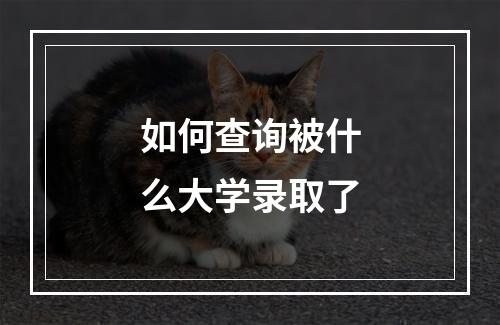 如何查询被什么大学录取了