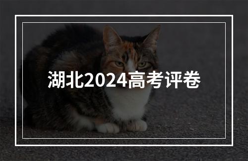 湖北2024高考评卷