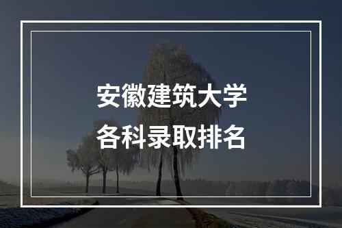 安徽建筑大学各科录取排名