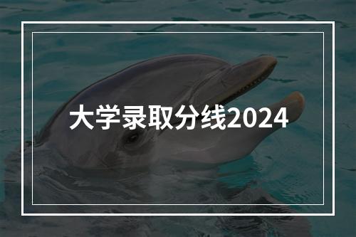 大学录取分线2024