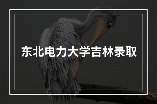 东北电力大学吉林录取