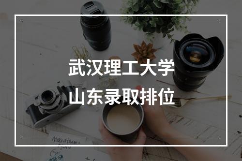 武汉理工大学山东录取排位