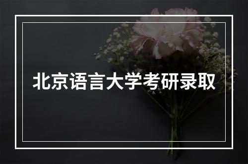 北京语言大学考研录取