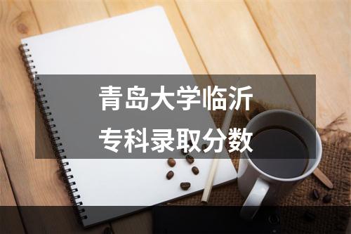 青岛大学临沂专科录取分数