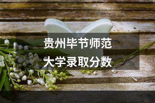 贵州毕节师范大学录取分数