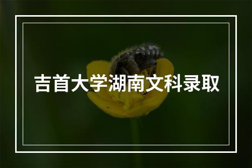 吉首大学湖南文科录取