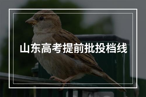 山东高考提前批投档线