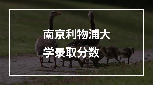 南京利物浦大学录取分数