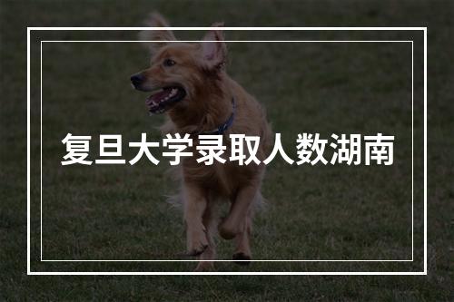 复旦大学录取人数湖南