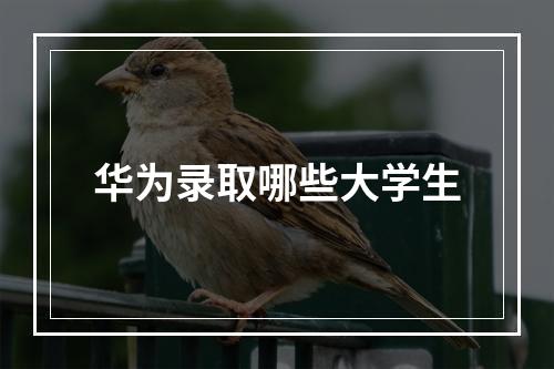 华为录取哪些大学生