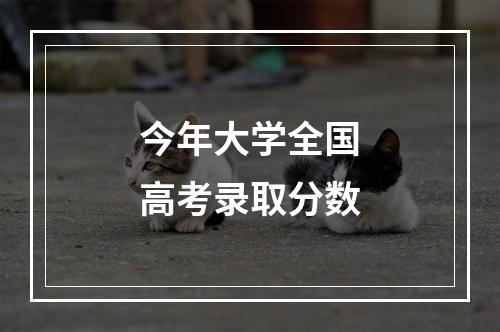 今年大学全国高考录取分数