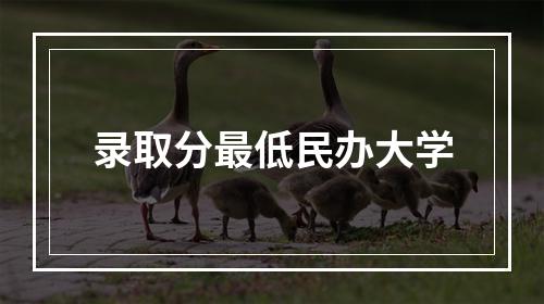 录取分最低民办大学