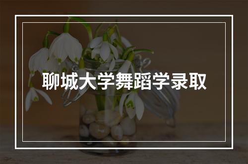 聊城大学舞蹈学录取