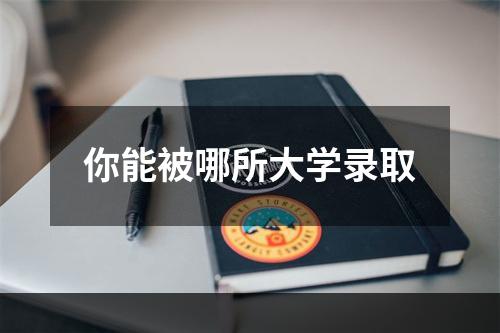 你能被哪所大学录取