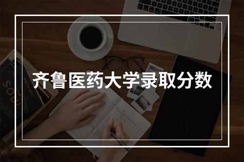 齐鲁医药大学录取分数