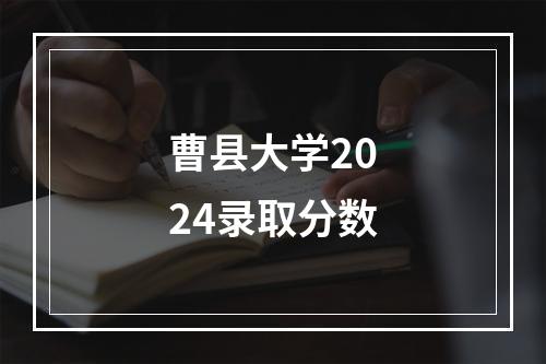 曹县大学2024录取分数