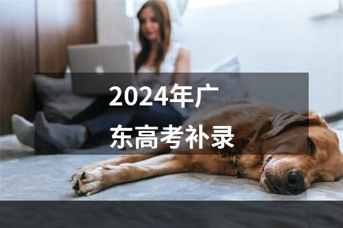 2024年广东高考补录