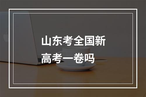 山东考全国新高考一卷吗