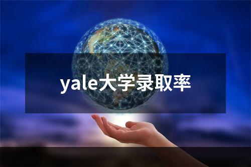 yale大学录取率