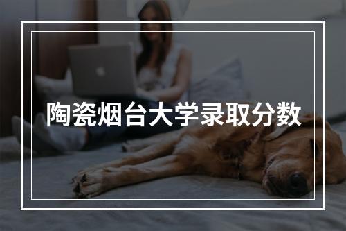 陶瓷烟台大学录取分数