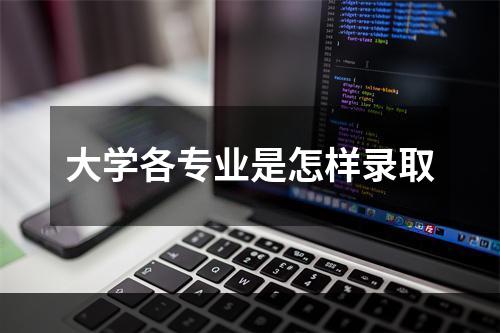 大学各专业是怎样录取