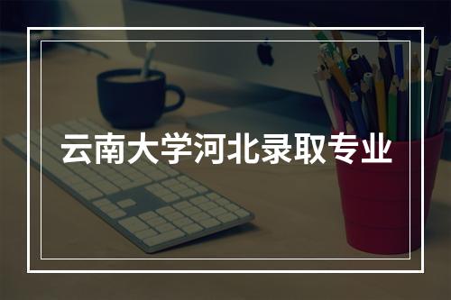 云南大学河北录取专业