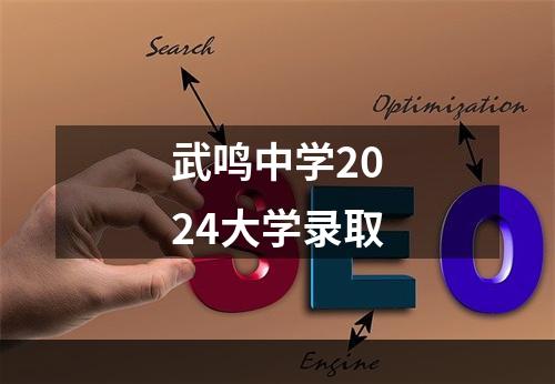 武鸣中学2024大学录取