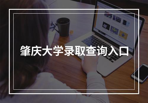 肇庆大学录取查询入口