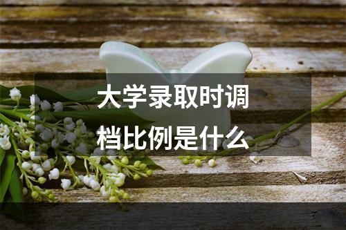 大学录取时调档比例是什么