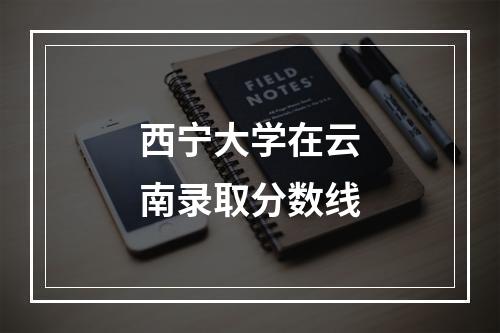 西宁大学在云南录取分数线