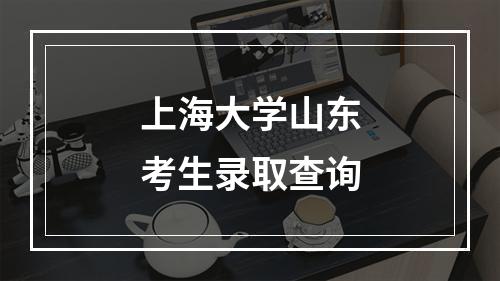 上海大学山东考生录取查询