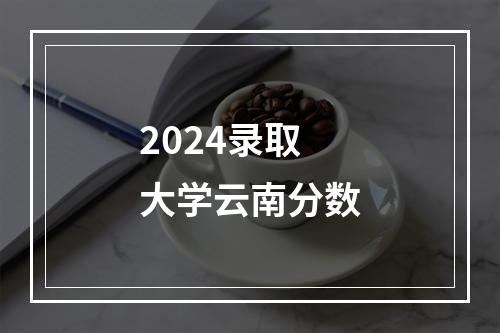 2024录取大学云南分数