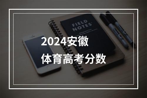 2024安徽体育高考分数