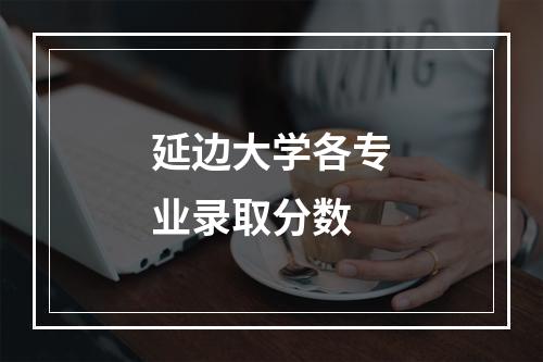 延边大学各专业录取分数