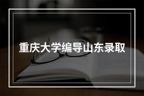 重庆大学编导山东录取